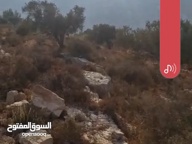 ارض للبيع في كفر نعمه مساحه دونم ونصف للبيناء