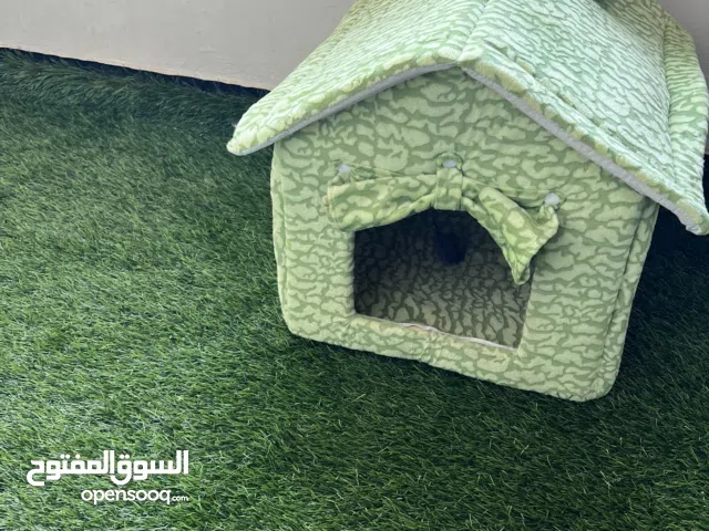 Cat Accessories at throw away price