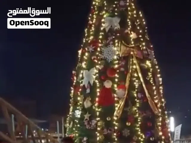 شجرة الكريسماس �