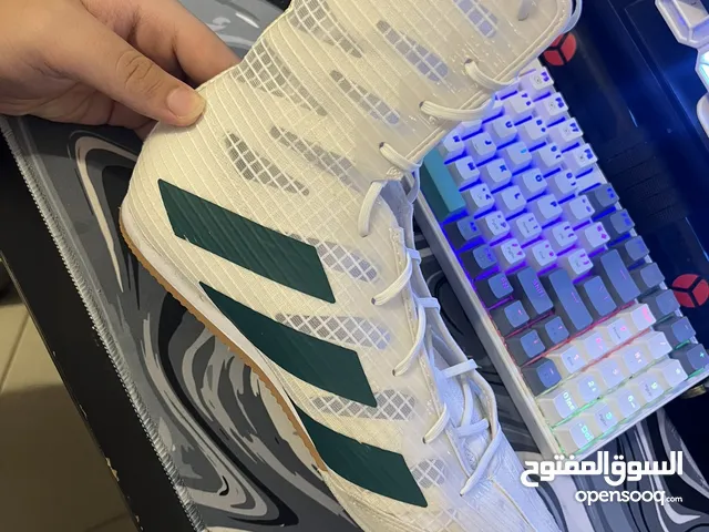 Adidas box hog 4 boxing shoes