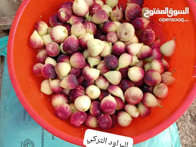 تين البراود التركي