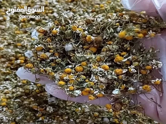 للبيع بالجملة – بابونج وزعتر جبلي طبيعي 100% من إيران