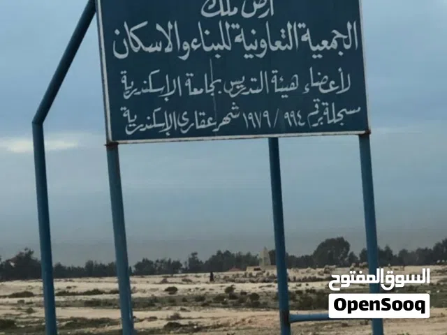 ارض مسجله بالكينج للبيع بسعر مغري