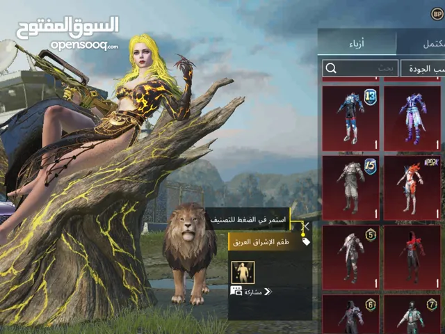Pubg Accounts and Characters for Sale in Basra