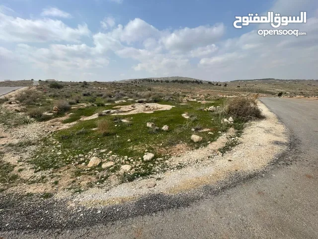 أرض للبيع في أم رمانه بيرين حوض الحبل شارعين إطلالة رائعة