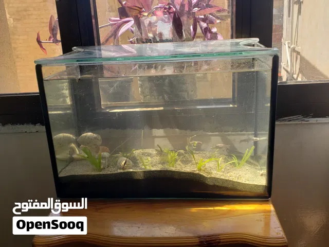 حوض سمك مع الاسماك