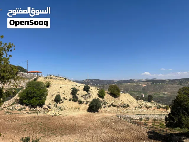 Farm Land for Sale in Salt Jala'd