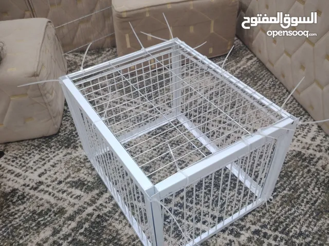 مصيدة طيور الطير يدخل مايقدر يخرج