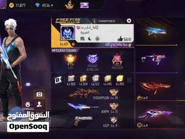 Free Fire Accounts and Characters for Sale in Zagazig