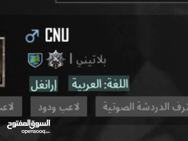 Pubg Accounts and Characters for Sale in Al Riyadh