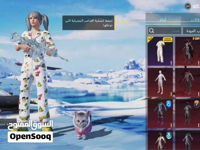 Pubg Accounts and Characters for Sale in Ibb