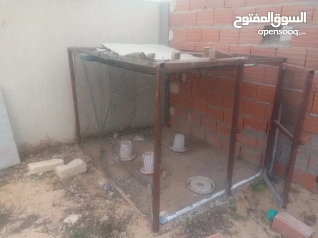 براكة دجاج مخدومه خدمه نظيفة كامله بي الباب و مسكرة من ثلاثة جهات