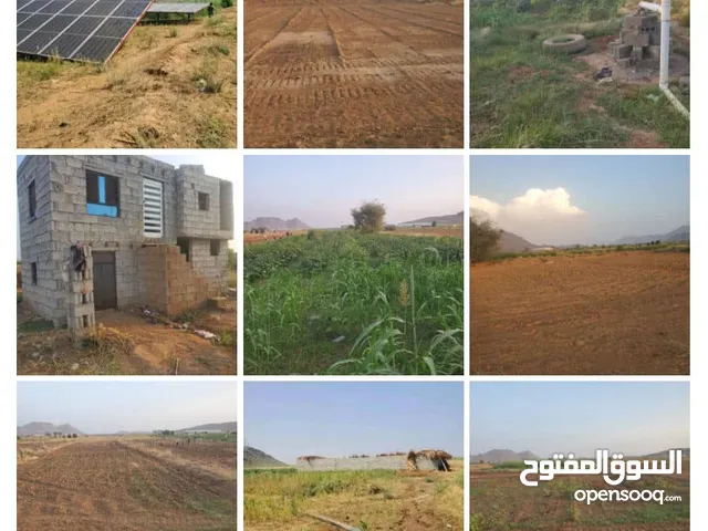 Farm Land for Sale in Al Hudaydah Other
