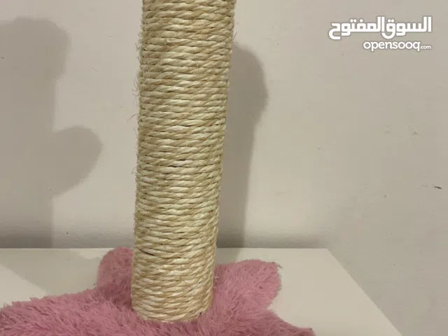 لعبه تشميخ حق القطاوه استعمال خفيف ونظيفه سعر 2 دينارين وفيها لعبه كره حق القطاوه