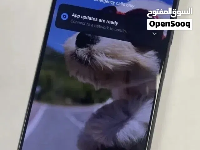 شاومي mi11 lite 5g