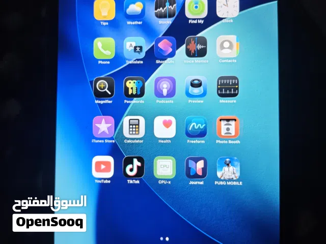 Apple iPad Mini 5 64 GB in Basra