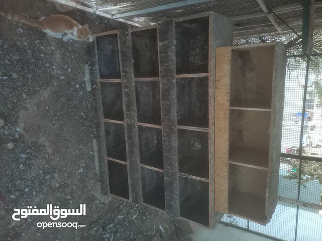 قفص وبيوت حمام