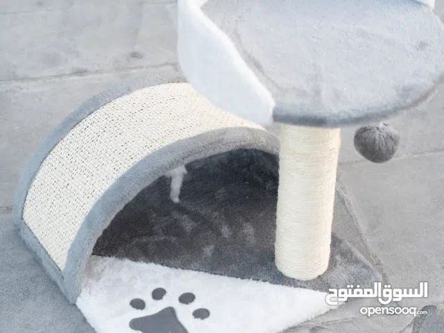 اكسسوارات متنوعه لجميع انواع الكلاب والقطط