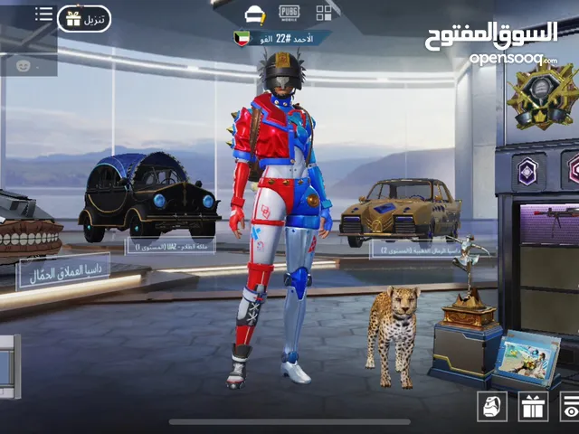 حساب ببجي مرتب