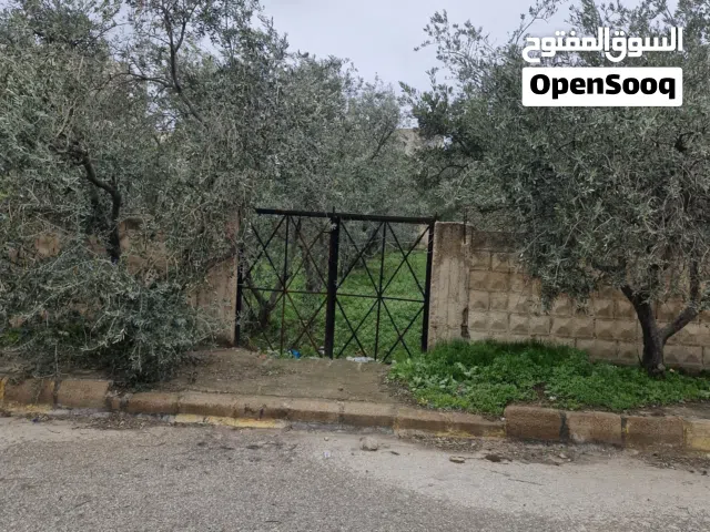 ارض في الحي الشمالي للبيع بسعر مغري جدا جدا