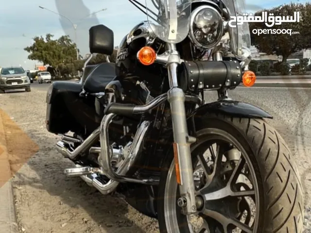 2014 HD SPORESTER