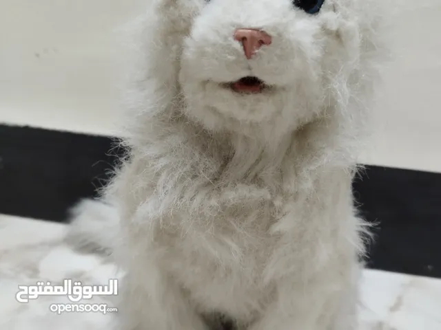 قطة شبه حقيقية من شركة Fur real