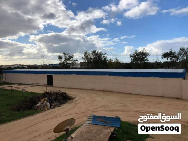 هنقر بمساحة 1000 متر مربع فالقوارشة للايجار