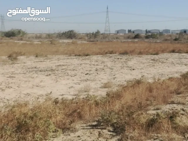 Farm Land for Sale in Baghdad Pasmaya