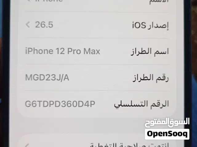 Apple iPhone 12 Pro Max 256 GB in Amman