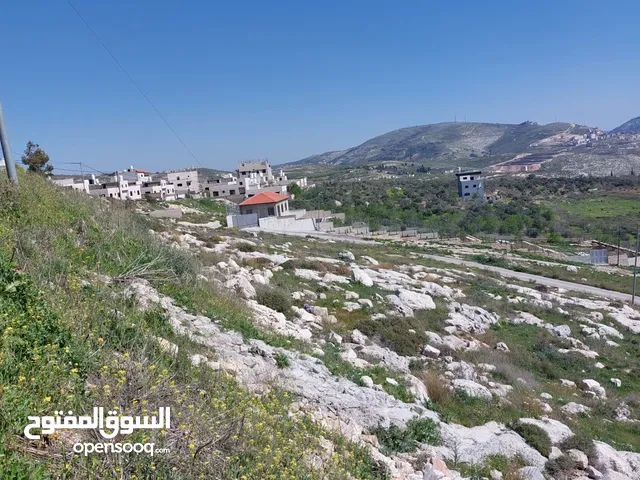 ارض بمساحه نصف دونم كوشان مستقل
