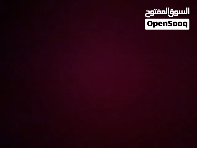 مطلوب كلب لتبني