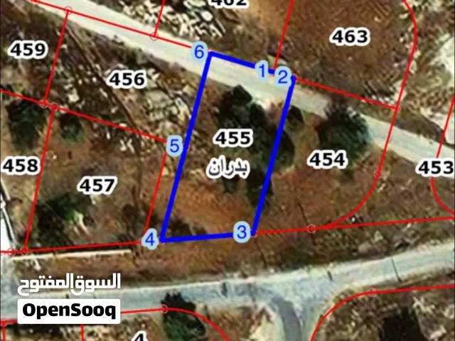 Residential Land for Sale in Amman Shafa Badran