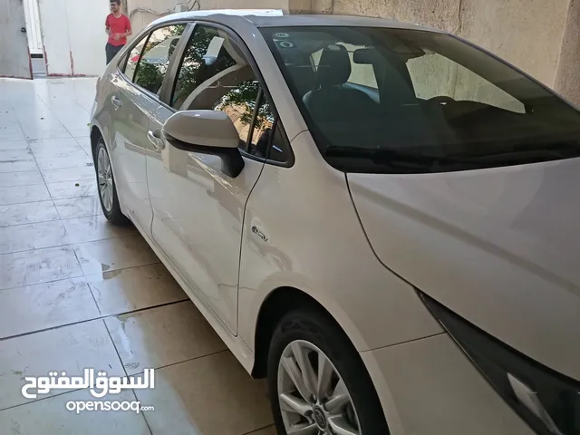 كورلا هايبرد 2024