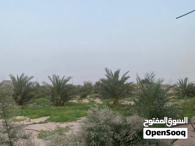 مزرعه تحتوي ع بستانين + بيت كامل + بأر ارتوازي مزرعه كامله ماء وكهرباء24 ساعه السعر