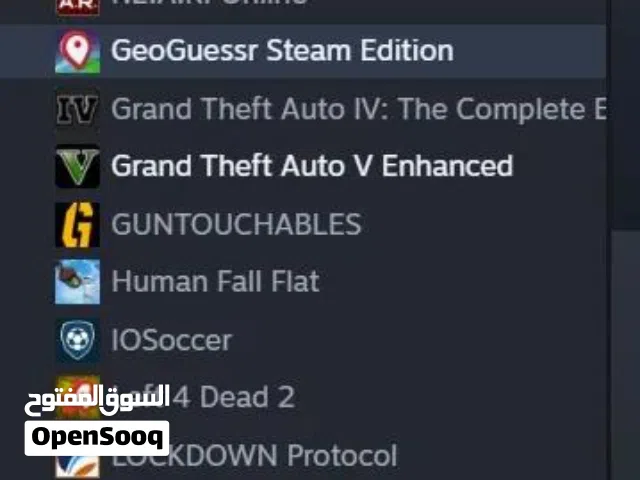 Steam Accounts and Characters for Sale in Saladin