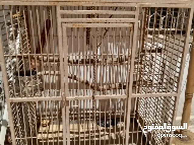 قفص للحيوانات و القرود