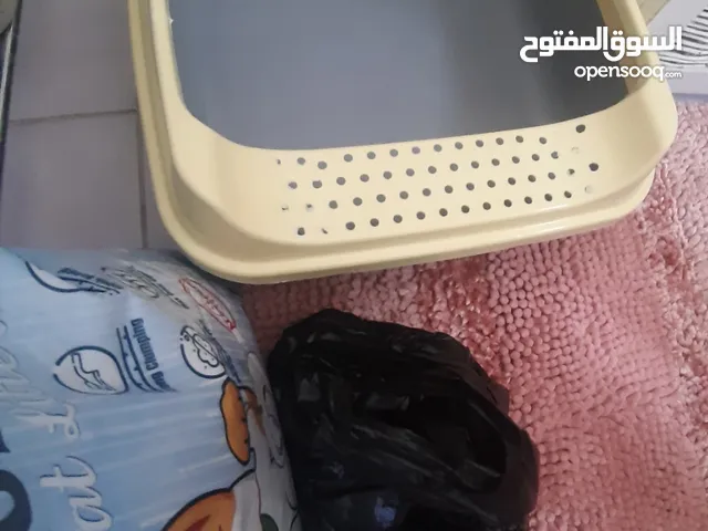 اكل قطط كيتن مكافأة ليتر بوكس رملة