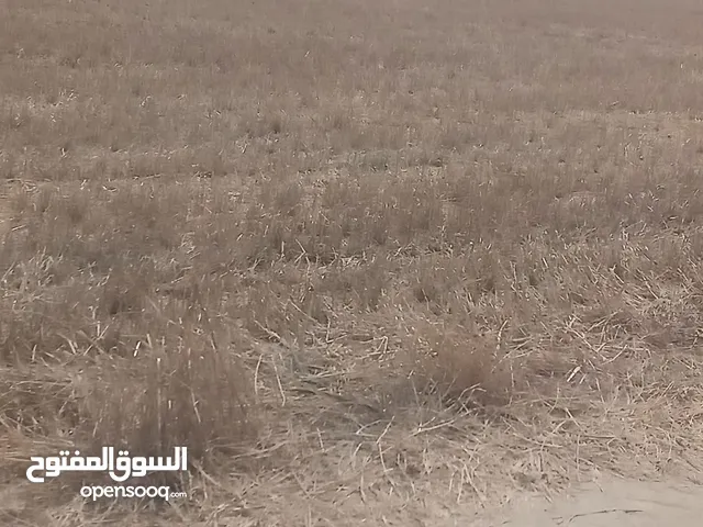 أرض زراعيه