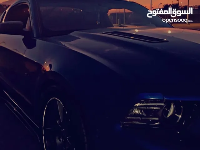 موستنق موديل 2013 محول شلبي في جم قطعه مكيف يبيله شي يصيد