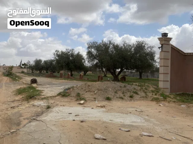 قطعة ارض تجارية على الطريق الرئيسي الساعدية السواني
