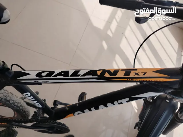 2024GALANIT