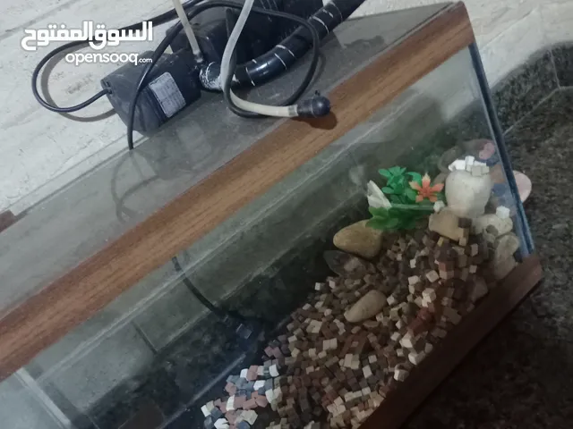 حوض سمك من دون سمك مع احجار و فلتر كيير و غطه من فوق و ارخص الاسعار