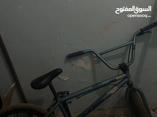 Stolen bmx