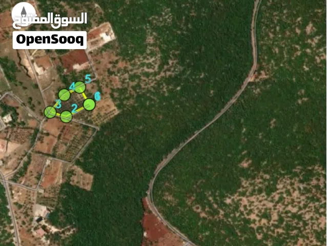 أرض في عجلون أم الينابيع للبيع من المالك مباشرة
