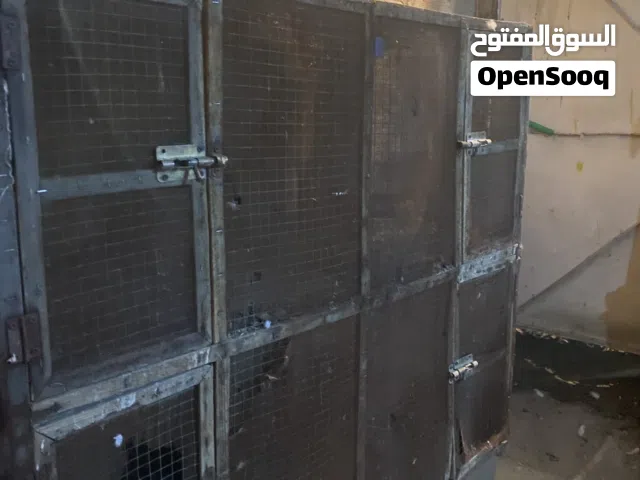 خانه حمام ام الاربعه   وياها مال ماي ومال اكل نضيفه مبيها شي بس الاوصاخ البيها تتنضف