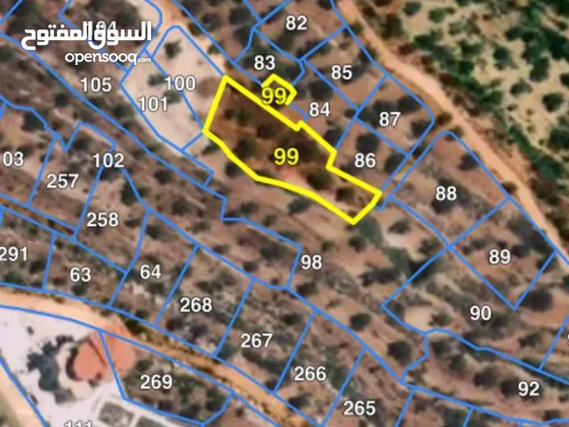 Mixed Use Land for Sale in Ramallah and Al-Bireh Kaubar