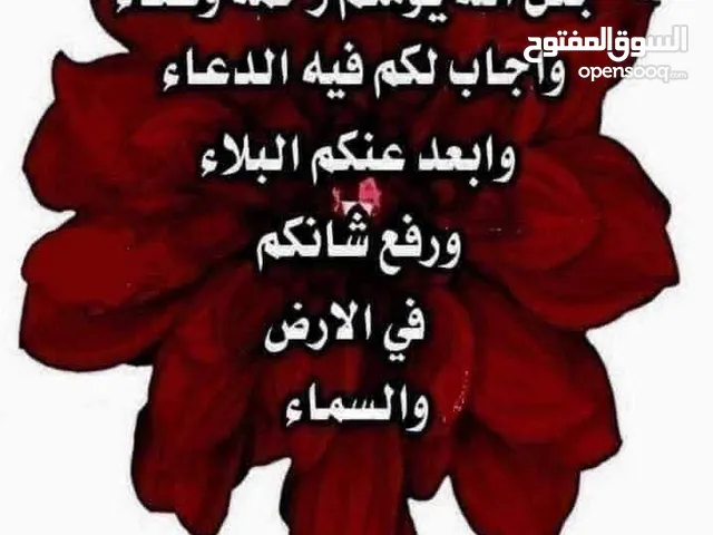 غفير ابحث عن خدمة