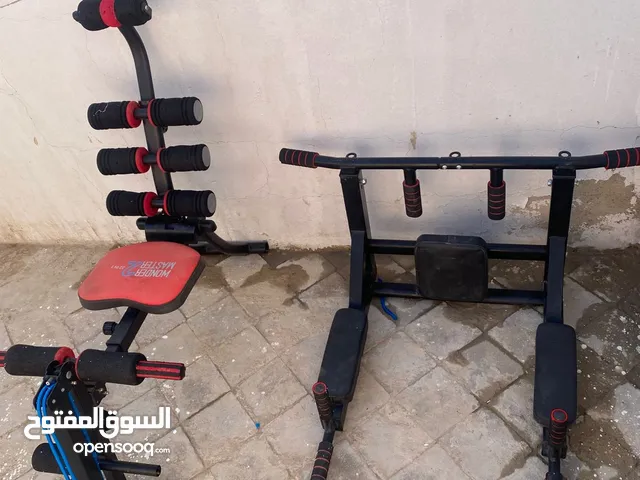 wounder master 2 and wall-mounted pullup and dip station