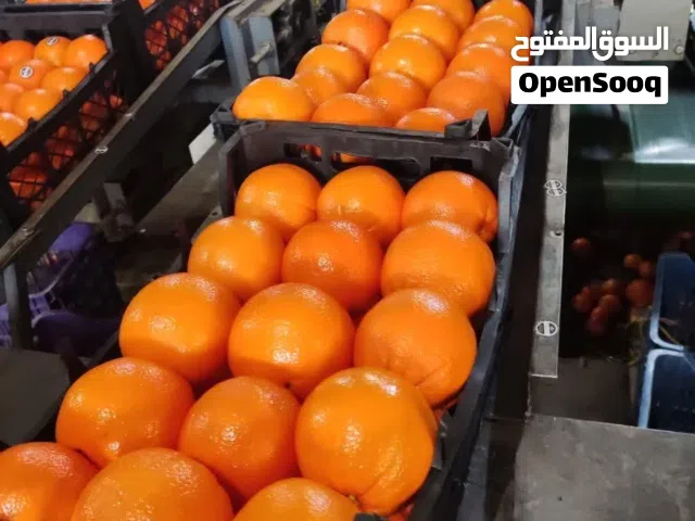 برتقال إيراني بحجم متوسط