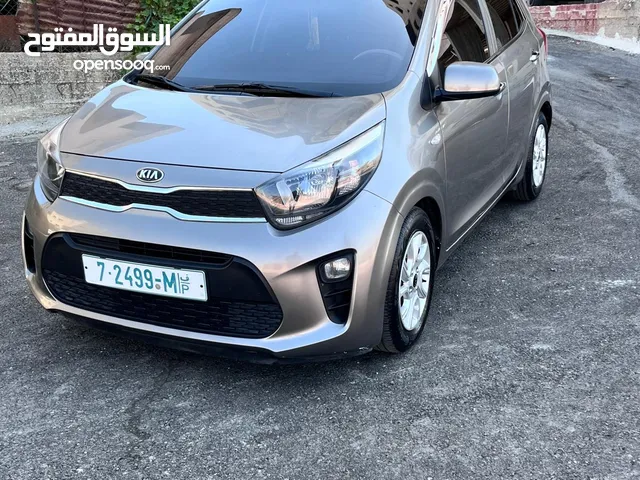 كيا بيكانتو مورنينق 2019